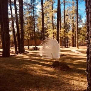 Meet your Posher, Chloe